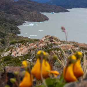 Lago del toro