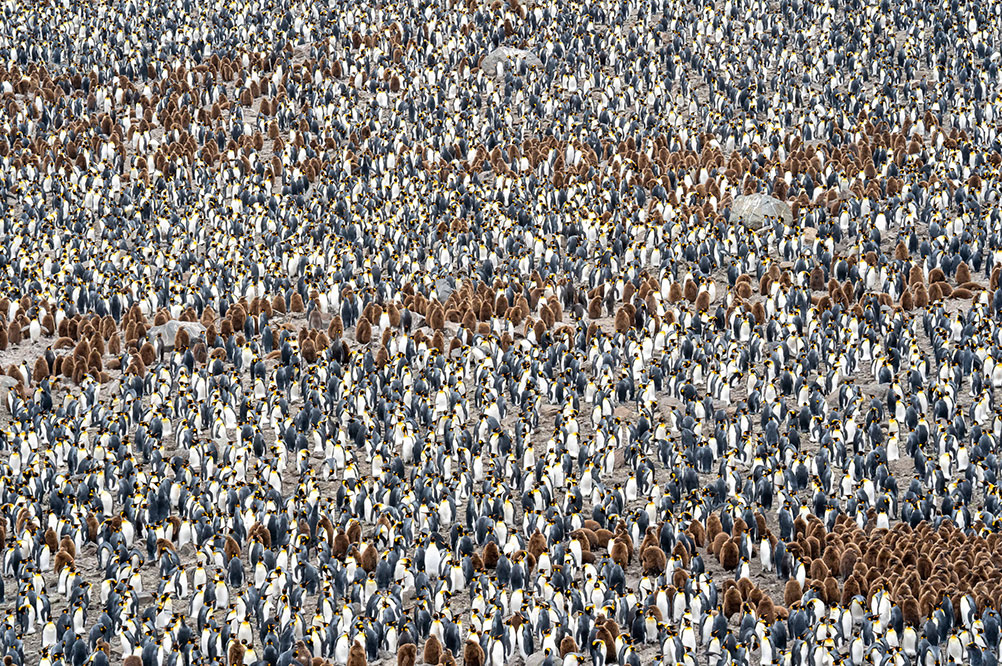 St Andrews Bay